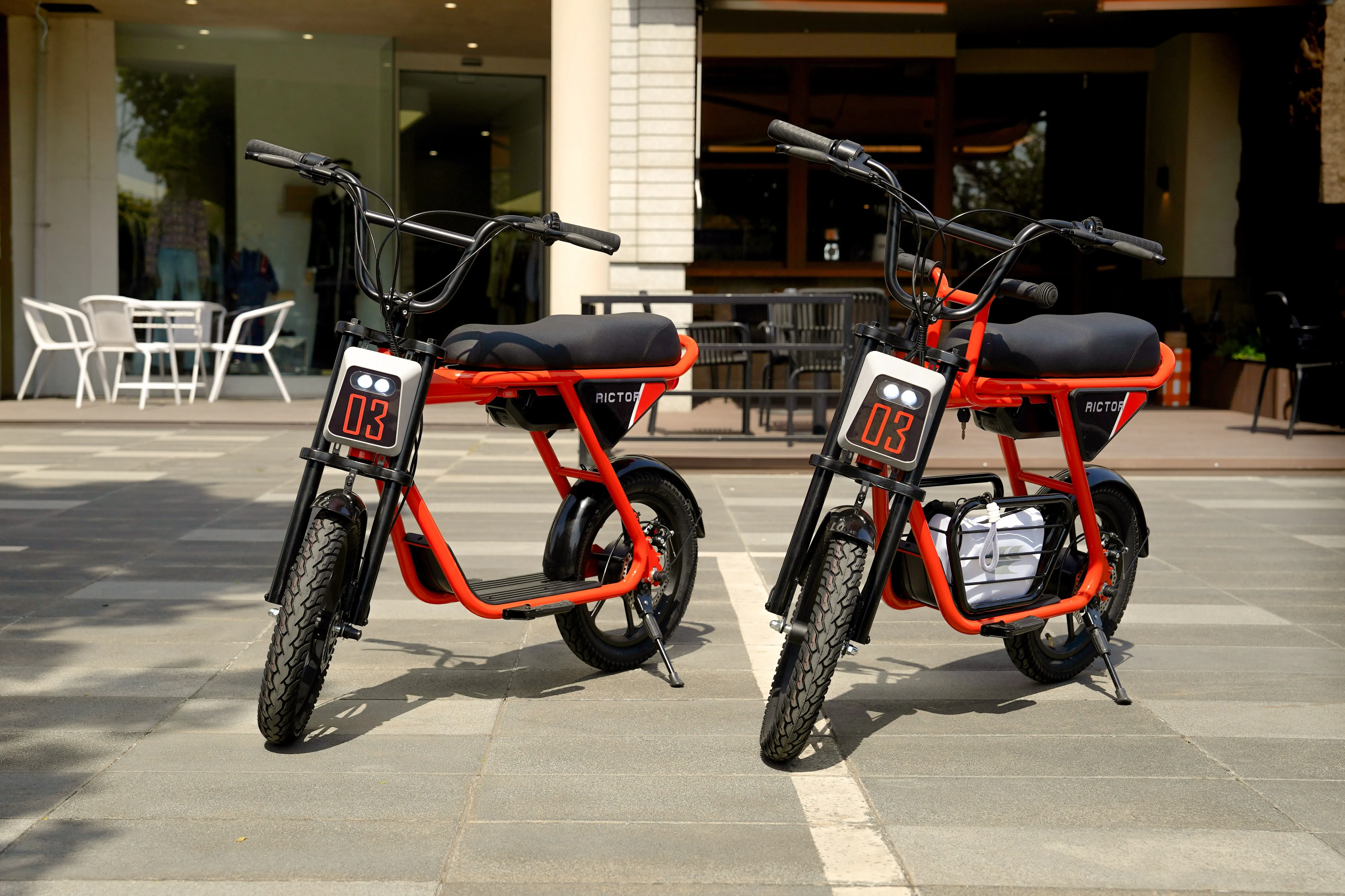 Classic and Convenient Style Electric Bike Hot Sale Ebike