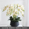 Bacino nero con orchidea bianca