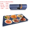 66*39*2,1 cm 250w/85v-260v