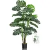Monstera Tree 4.5ft