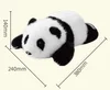 Griffe IA PAPA Panda