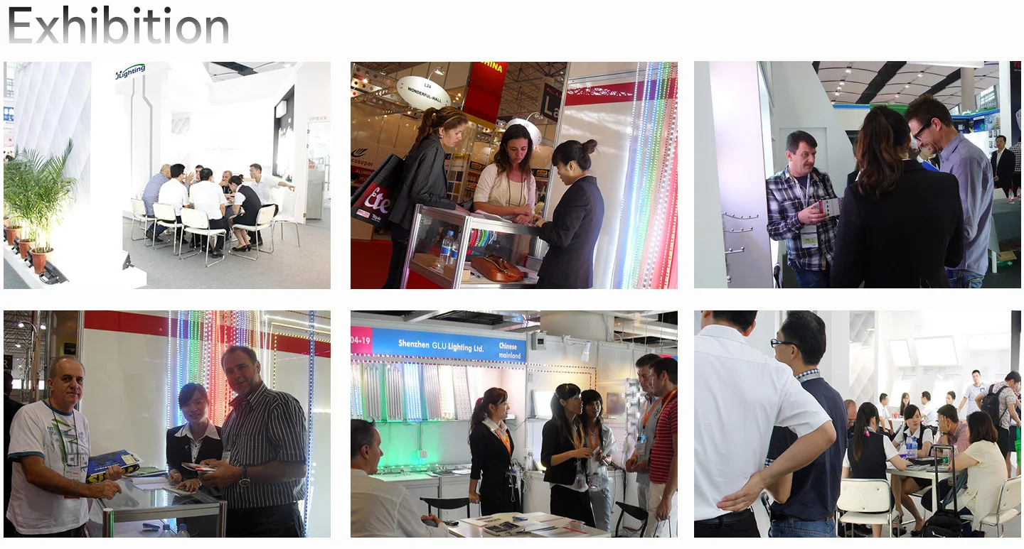 12V 10mm  High CRI Bi-Color LED Strip 2835 240led/m CCT tunable Ra95 led ribbon