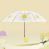 Tournesol (os de fibre)