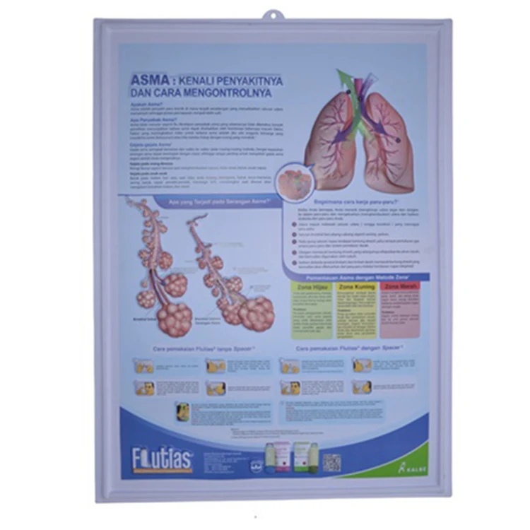 Образовательный пластиковый тисненый медицинский плакат, 3D медицинская анатомическая настенная диаграмма