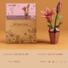gift box-Lily