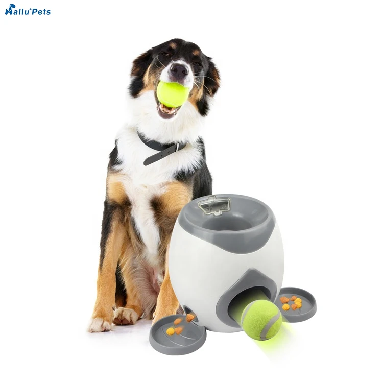 automatic dog treat dispenser toy