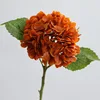 17 naranja