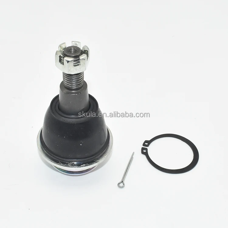 Kichkina yubkadagi qizning mushuki