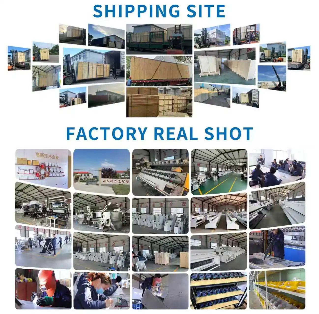 Optical CCD Seed Rice Nuts Sorting Machine Red Bean Chickpea Equipment Beans Color Sorting Machine for Food Processing