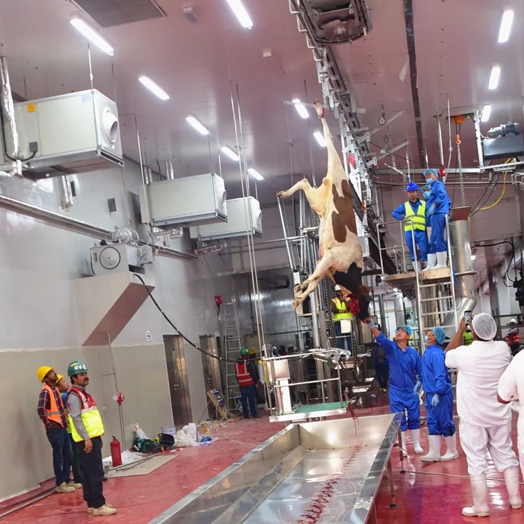 Beef automatic slaughterhouse processing equipment