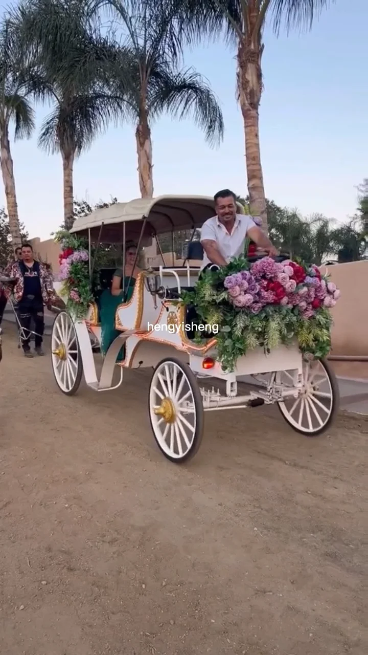 6seater Electric Special Transport Vehicle/noble Electric Tourist