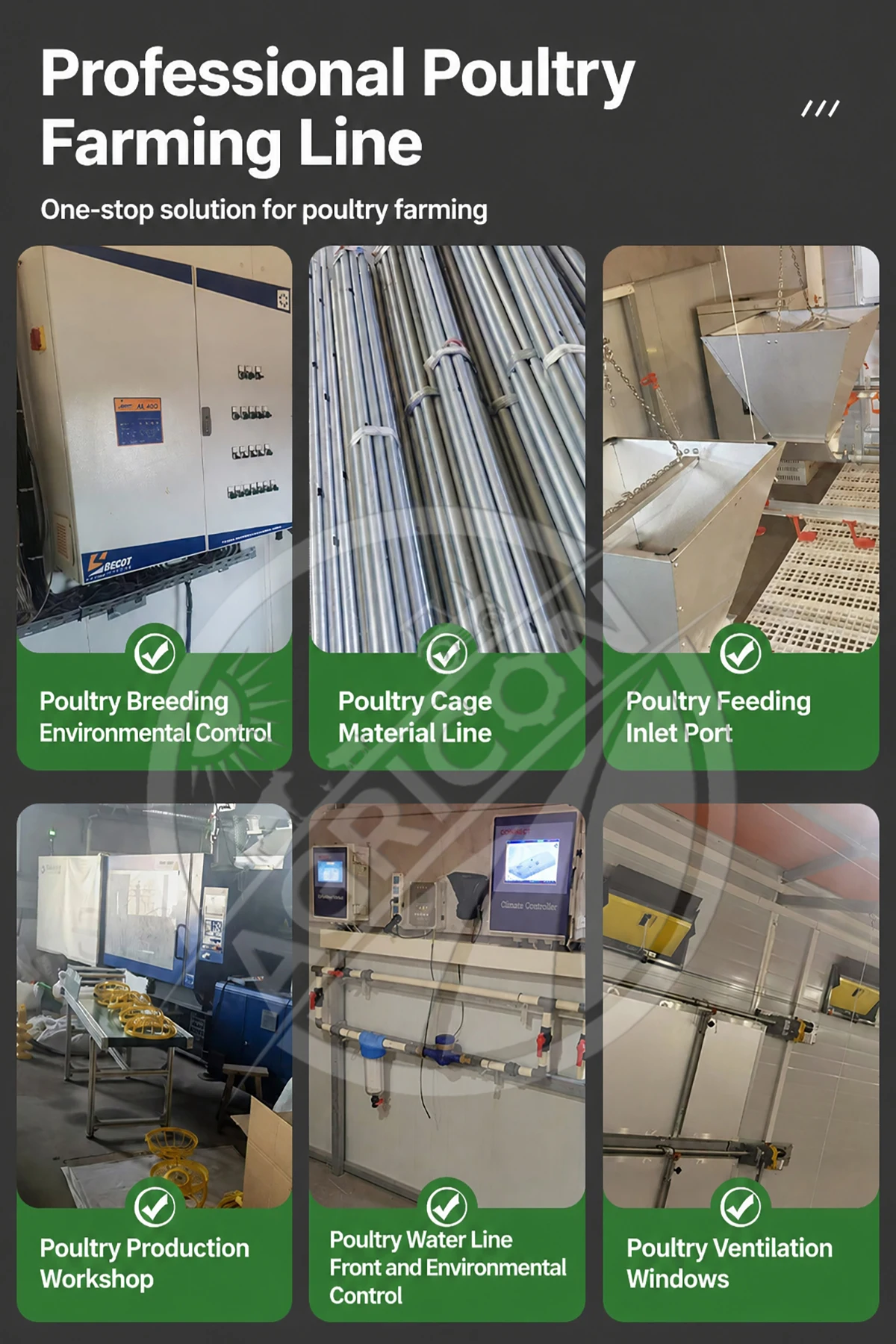 Automatic Poultry Feeding Line