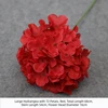 Hortensia de 72 pétalos