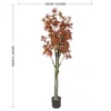 XY2506-3066 150CM