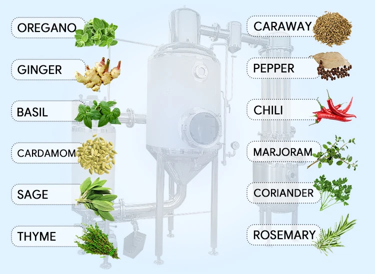 Essential Oil Extracting Machine for Distillator Oil 10 Litres Cercle Vertiver Steam Distillation of Essential Oils