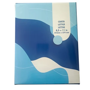 High Quality 80 Gsm A4 Printing Paper Hot Selling Smooth Recyclable Copy Paper Durable and Cheap for Office Use