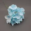Light blue with branches