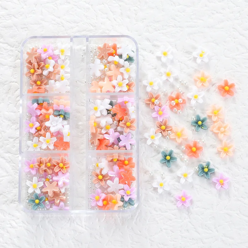 6 Grids Acrylic Flower Nail Charms 3D Resin Flower Nail Art
