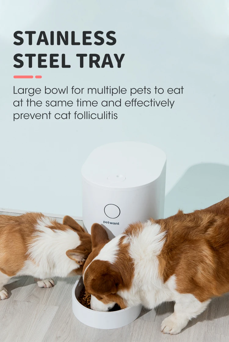 2021 best selling pet feeder tuya remote control WiFi Pet Dog Camera Wifi Pet Feeder camera