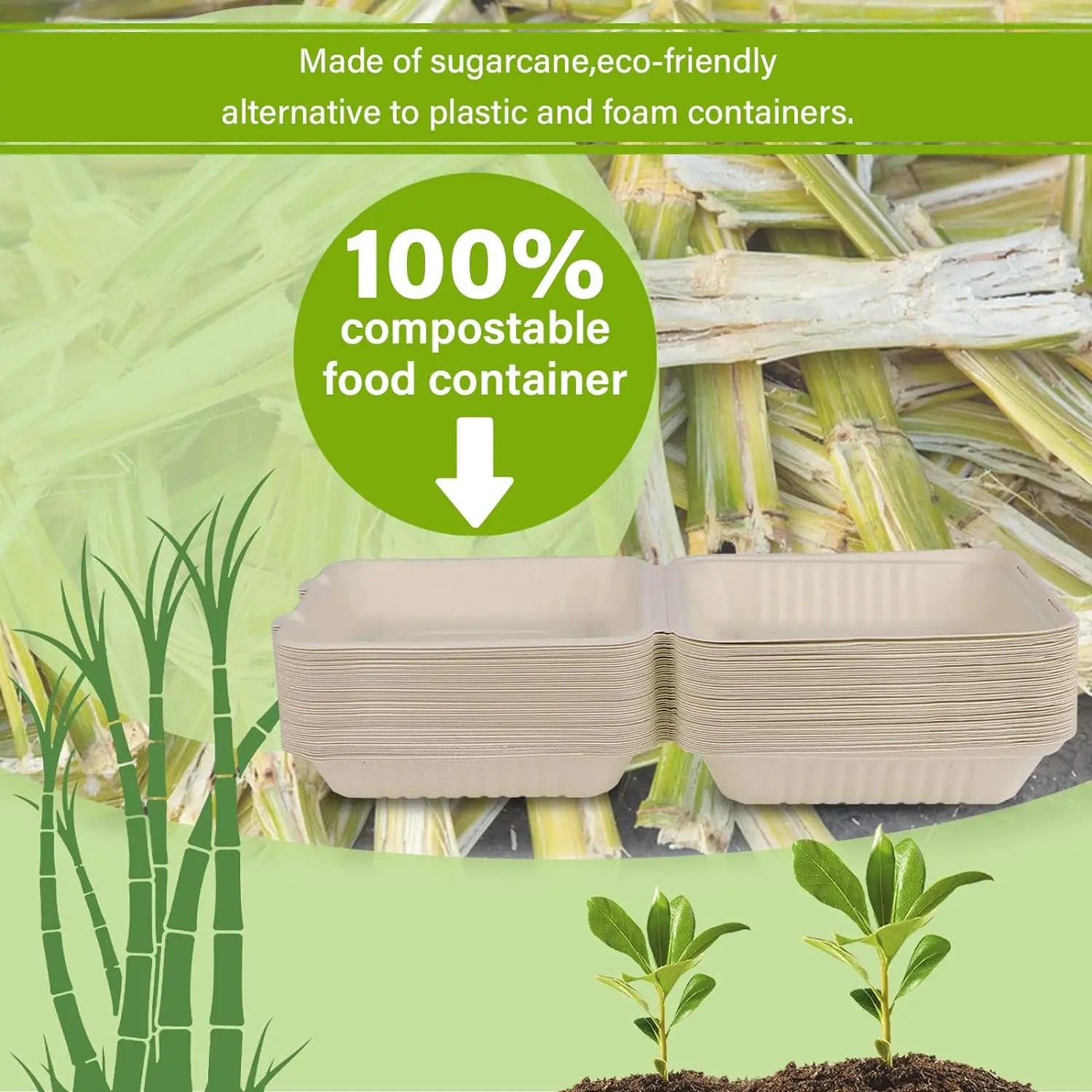 Takeaway Sugarcane Bagasse Take Away Bento Lunch Box Food Container 2 ...
