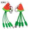 Watermelon 4 in 1 USB Charging Cable