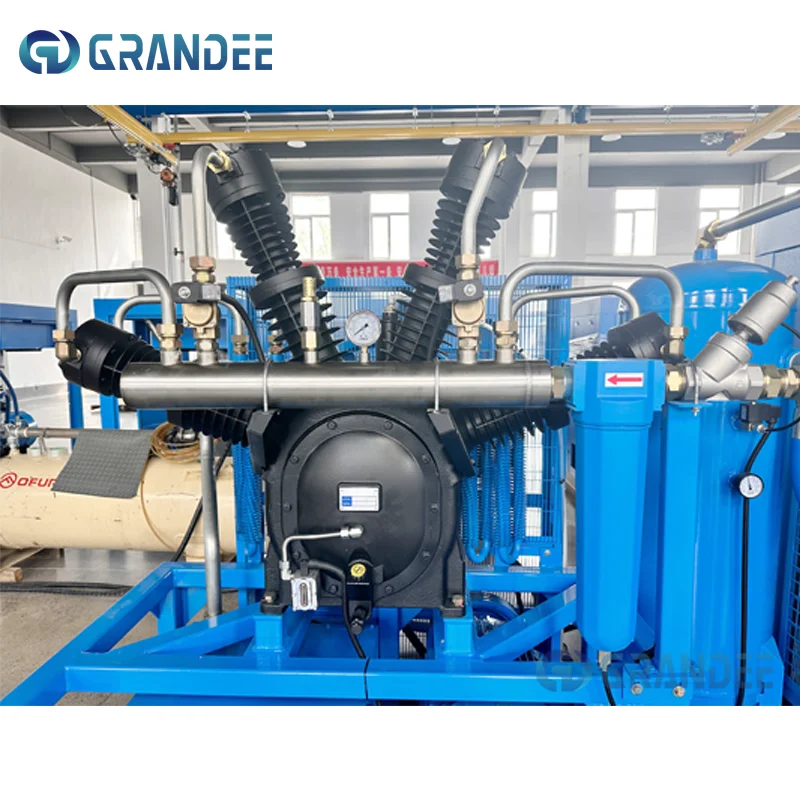product integrated screw booster unit supercharger low voltage screw with fixed piston pvc lubrication core components pump and motor-5