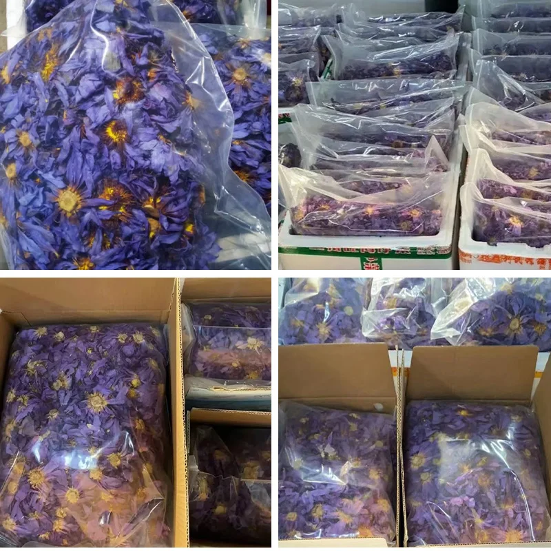 blue lotus cigarettes Clqq Factory Price Wholesale Healthy Cigarettes Calm Blue Lotus Flower  Dried Herbal Nymphaea Caerulea