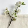 White (with 8 clusters of 46cm fewer flowers)