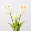 3 cabezas de manojo blanco