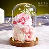 Sfumatura rosa e bianca
