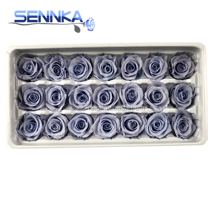 Оптовая продажа, свежий натуральный цветок лучшего качества для украшения