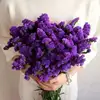 สีม่วง