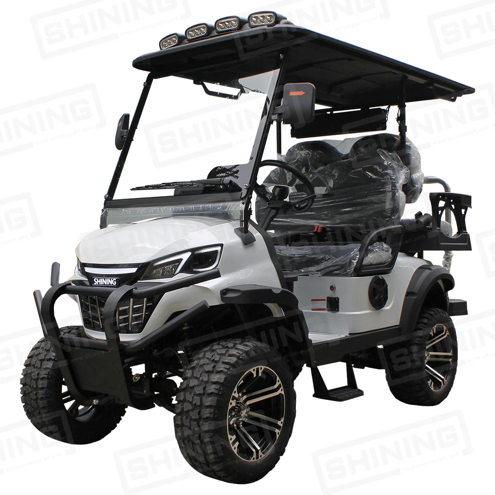 Shininglsv Electric 4-Passenger Chinese Golf Cart Single Cruiser for Canada Roads Manufactured in Japan