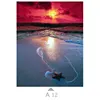 Multicolor-A12