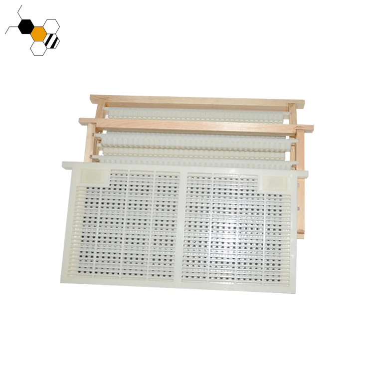 Queen Rearing Kit - Efficient Beekeeping Solutions