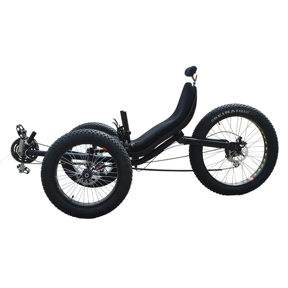 Front Two Wheel Adult Travel Recumbent Fat Tire Electric Bike Folding Frame Rear Hub Motor Race Use Recumbent Trike