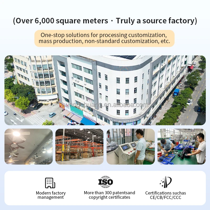 Company overview