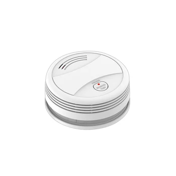 No Alarm System Host Required Stand-alone Remote WiFi Network Tuya Smoke Leak Detector Tester with Instant Alarm Push to APP