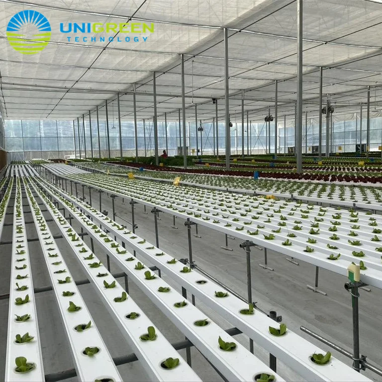 Hydroponic NFT Channel Growing System Water Circulation System Greenhouse Vertical Channel Growing Pipe Gutter NFT System