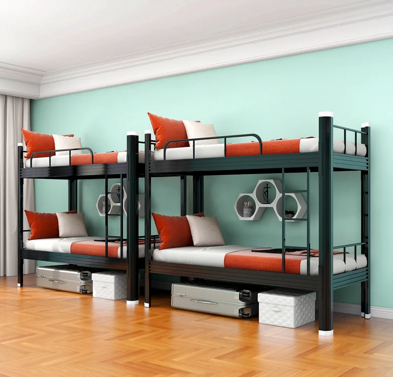 bunk bed adult