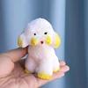Sitting Teddy Dog