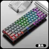 Teclado transparente Silver Fox K30 (negro)