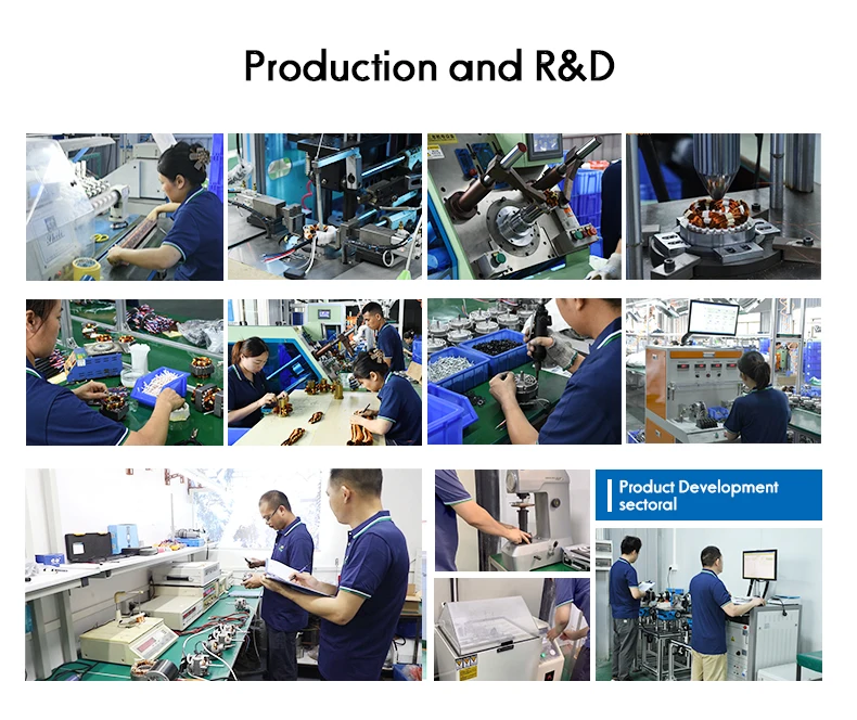 Company overview