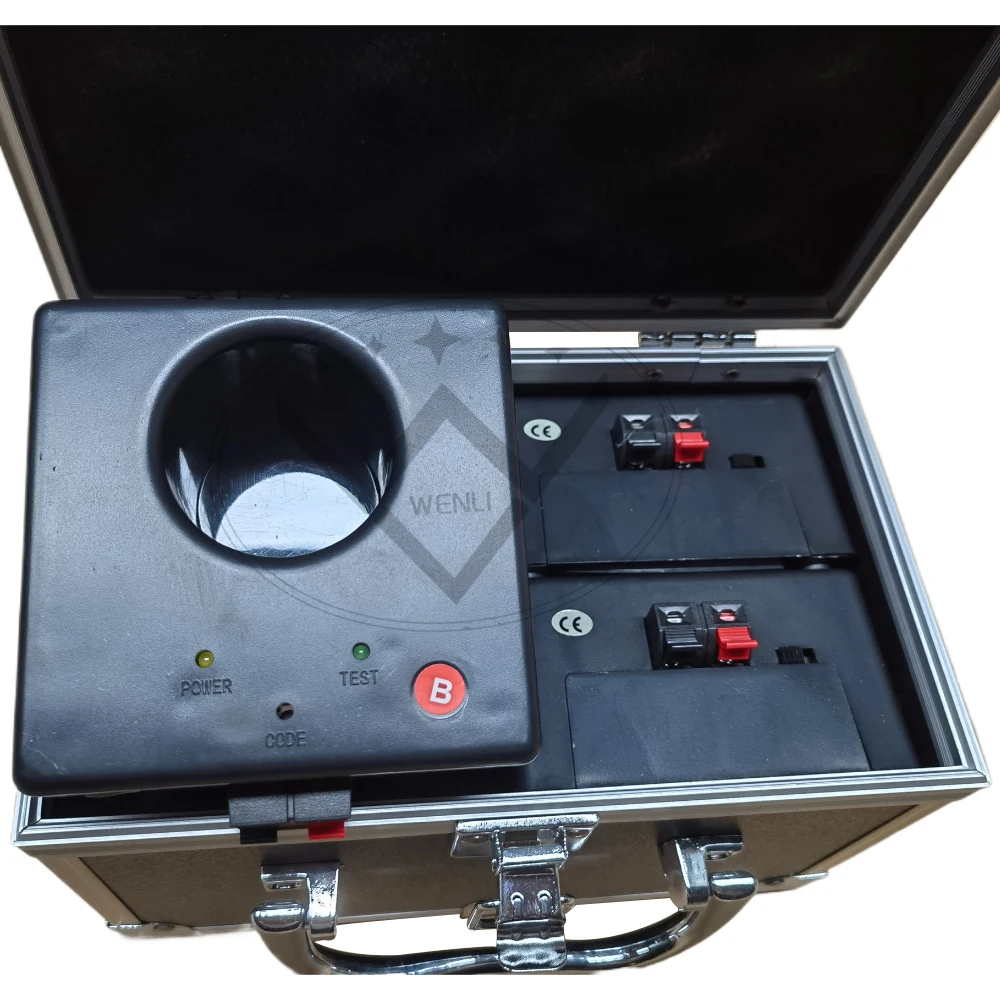 4 Channel Rechargeable Battery Wireless Remote Control Cold Fountain Stage Fireworks Ignition System Wedding Fireworks Machine