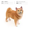 Samoyed PL127-1276 chien 337g