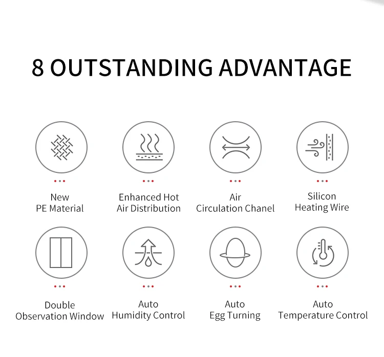 Nanchang Edward Chicken Egg Incubator Brooder 1000 Eggs For Hatching