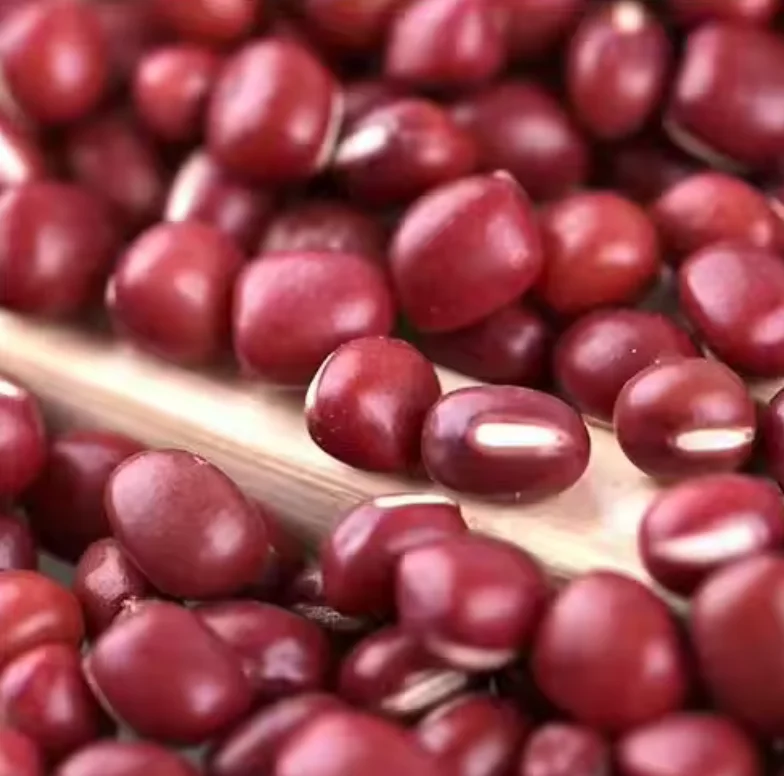 small round red beans for sale peeled dried red bean red kidny beans details