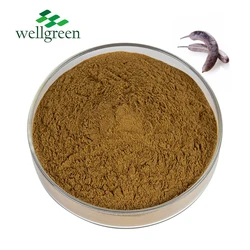 Quillaja Saponaria Bark Extract