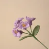 Ramo de Nomeolvides de 5 Cabezas - Morado