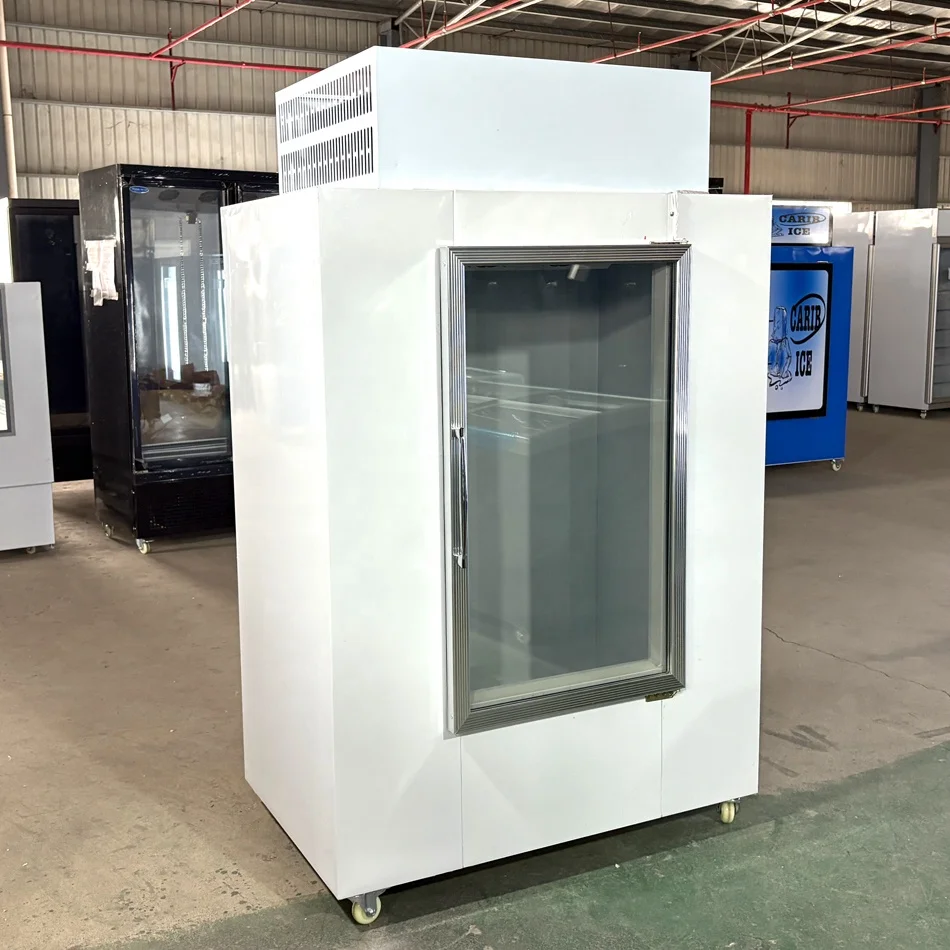 Top Mounted 30CuFt 850L Capacity Single Door Bagged Ice Merchandiser Freezer